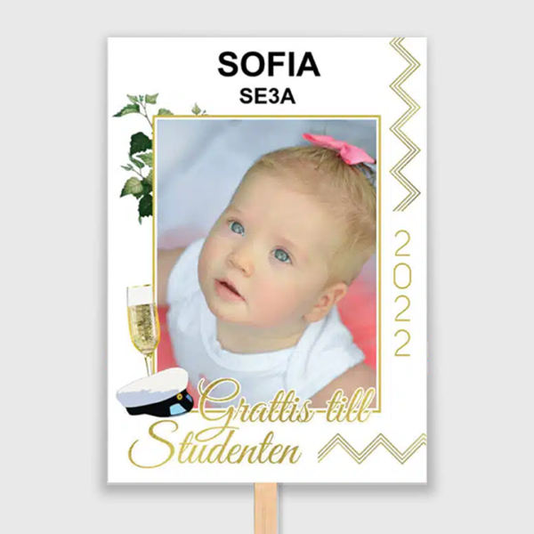 Guld Zick Zack Studentplakat