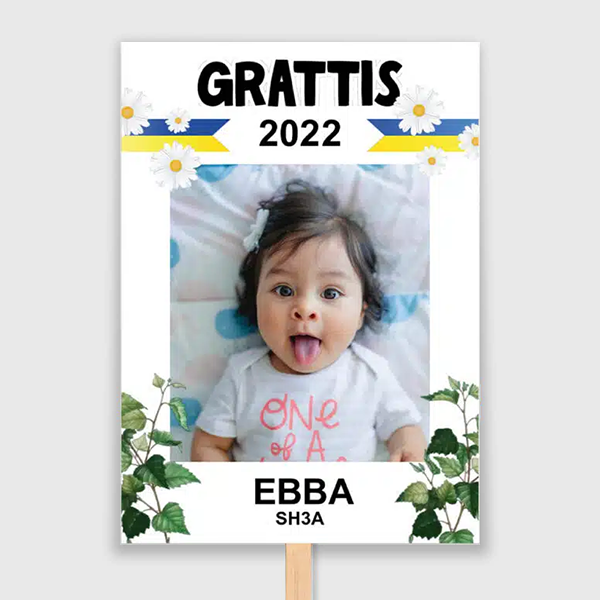 studentplakat björklöv