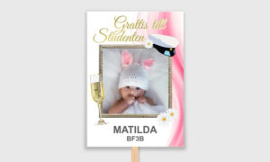 rosa studentplakat