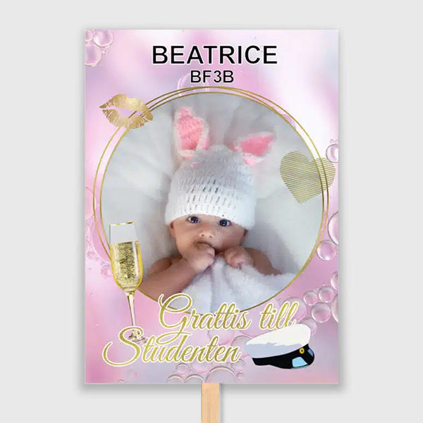 studentplakat dubbelsidig